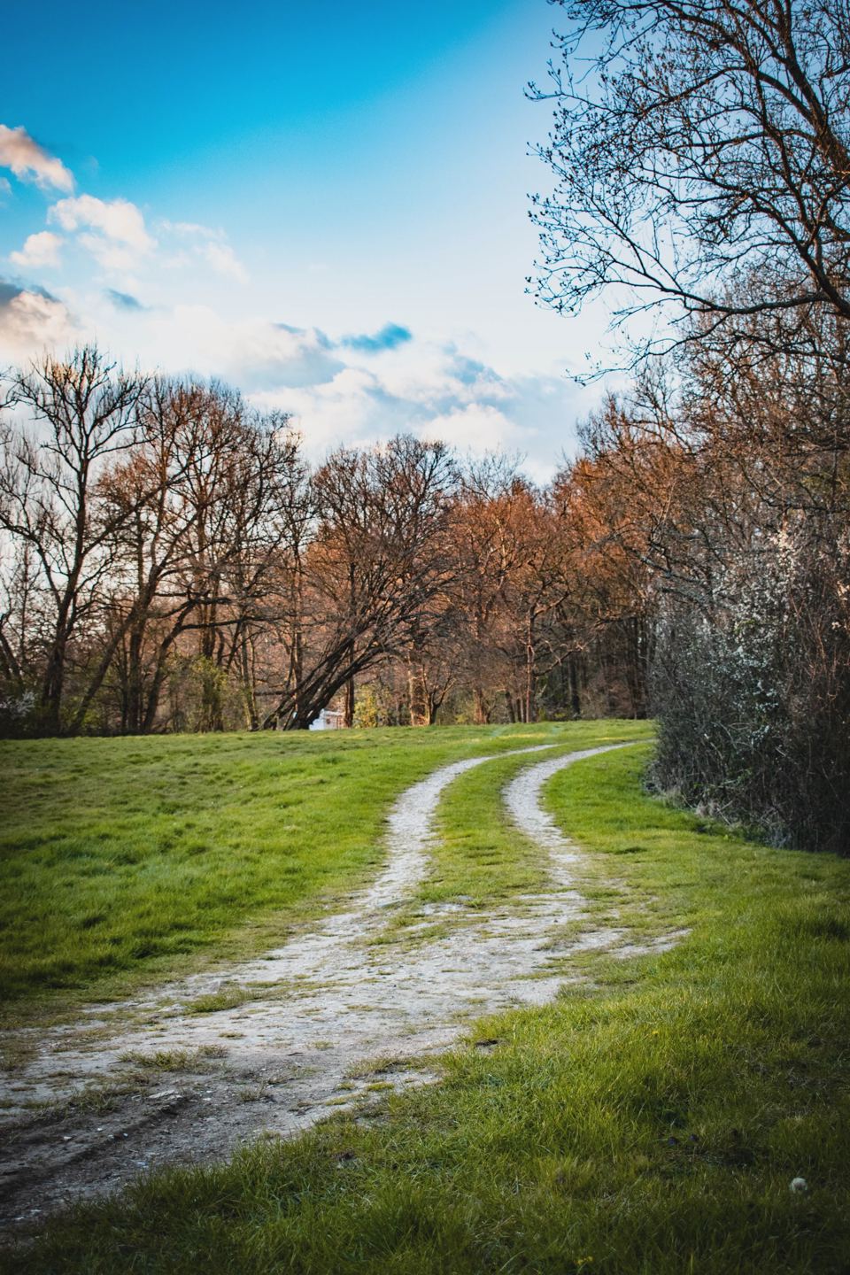 Grass track beside the site
