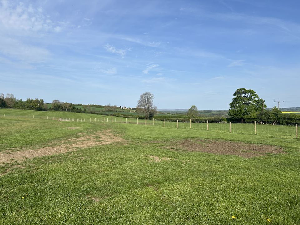 Open grass field on the farm