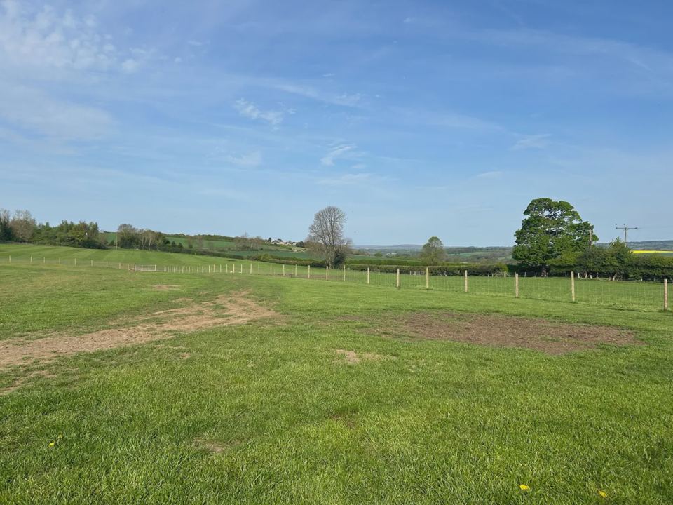 Grass field and farmland views