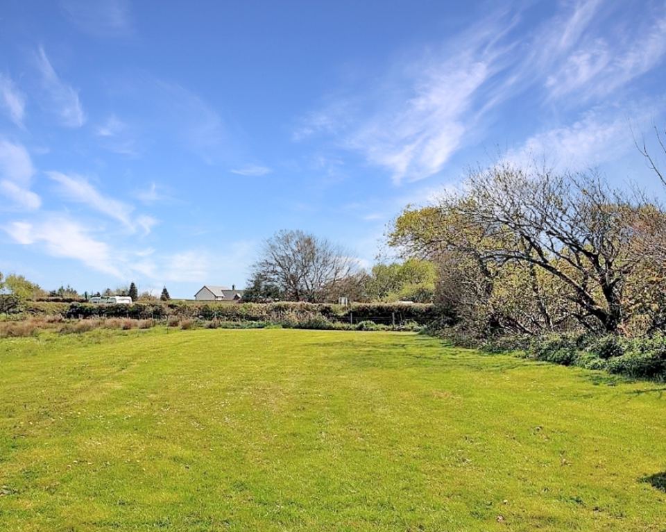 Grass field under a blue sky