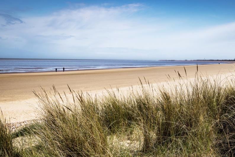 Sandy beach and dune grass