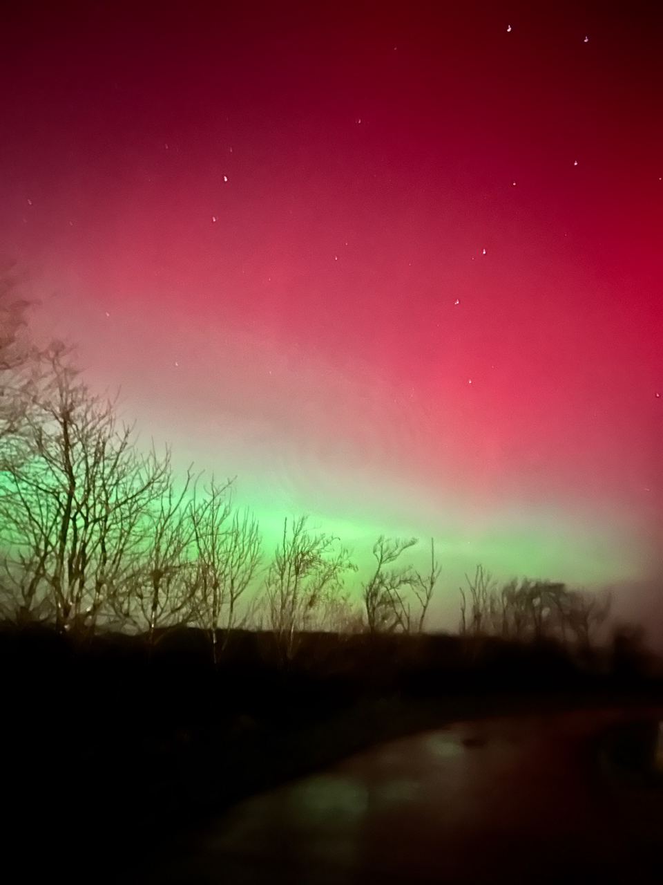 Aurora over the trees at night
