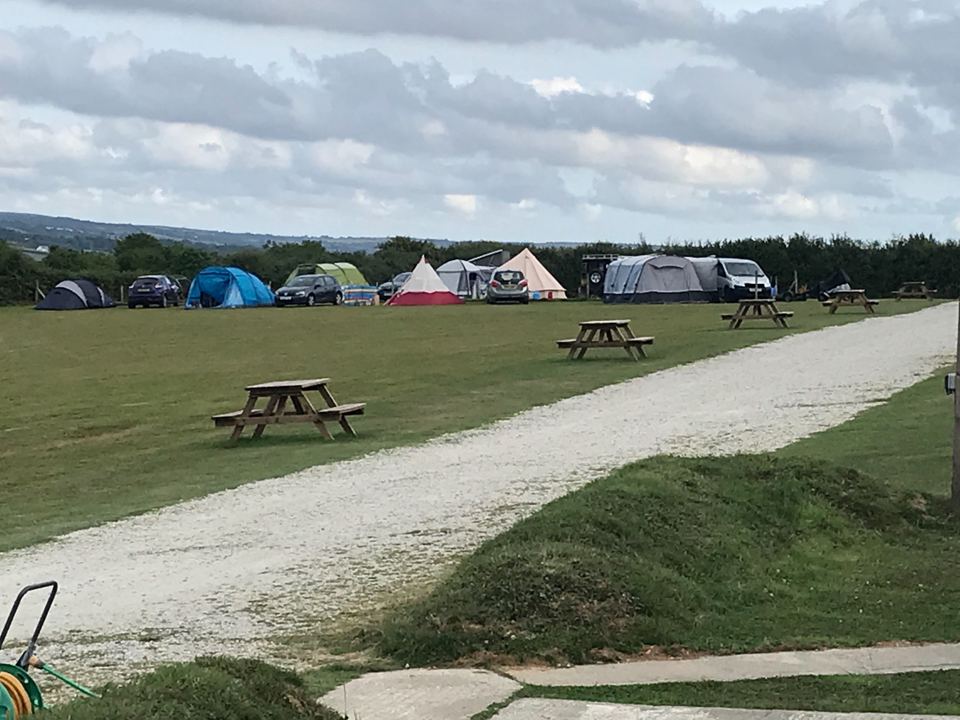 Tents and campervan on grass