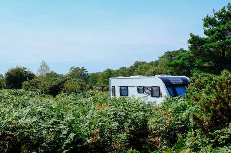 Caravan among the bracken