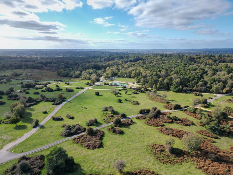 Heathland and forest from above