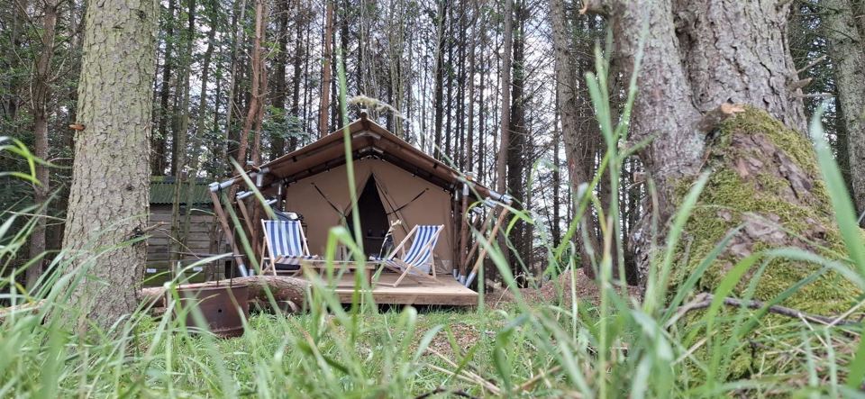 Safari tent in long grass