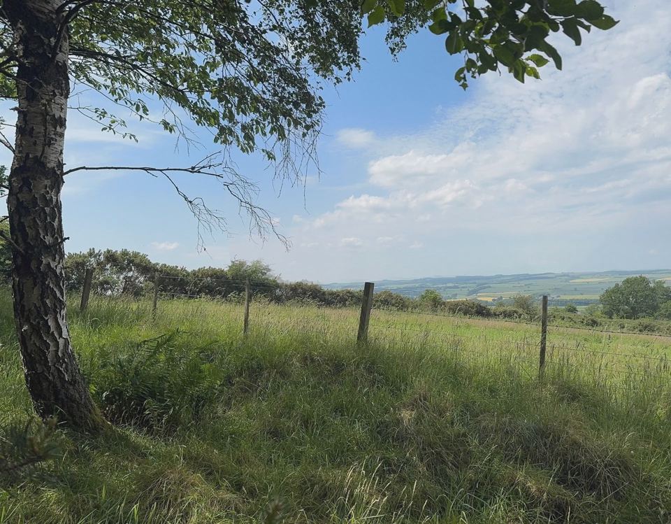 Fields and hills beyond the site