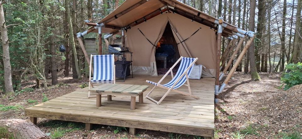 Safari tent among the pines
