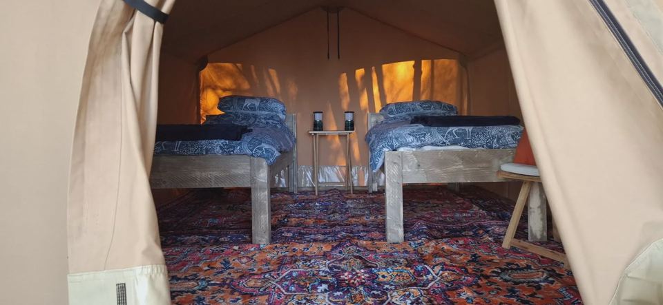 Beds inside a safari tent