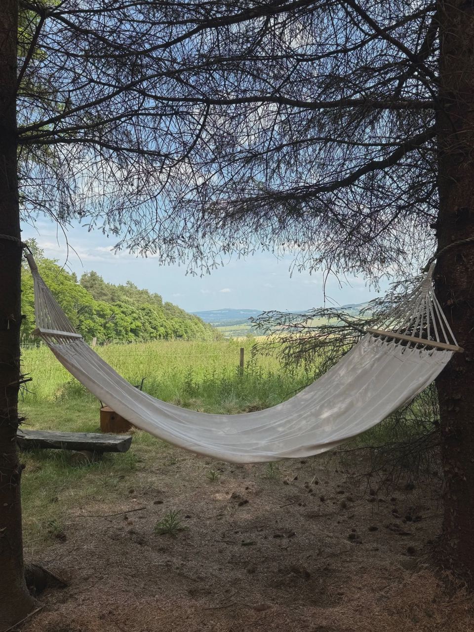 Hammock with a view