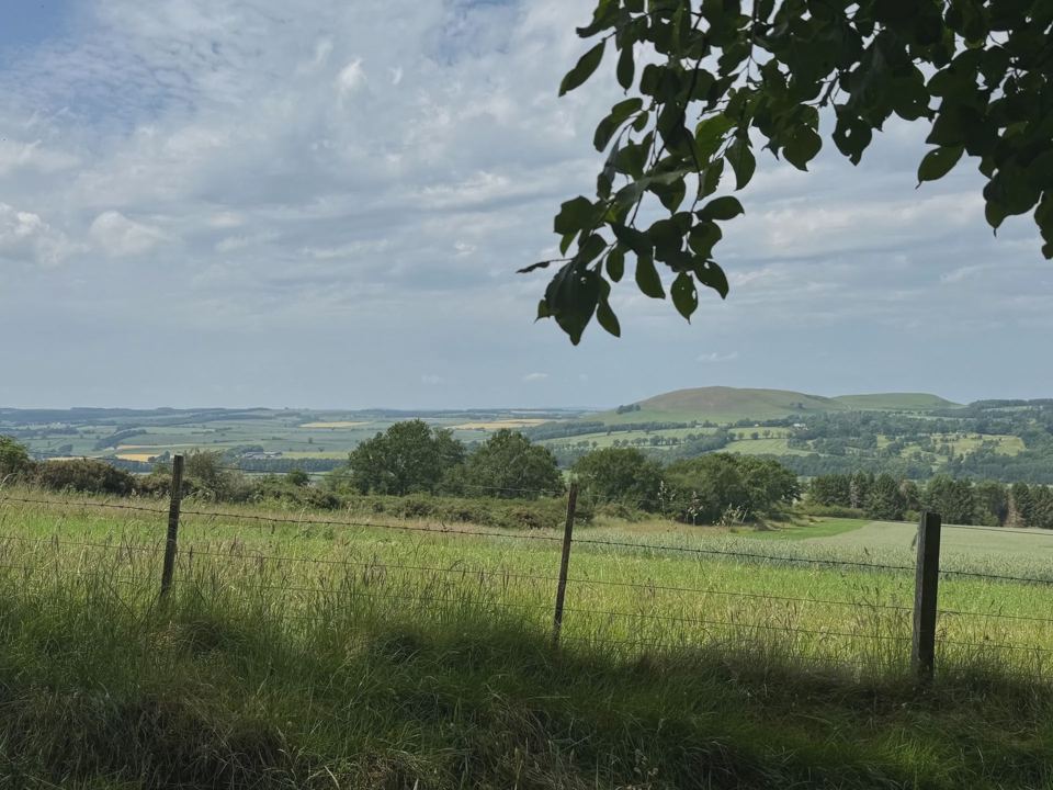 Borders hills from the site