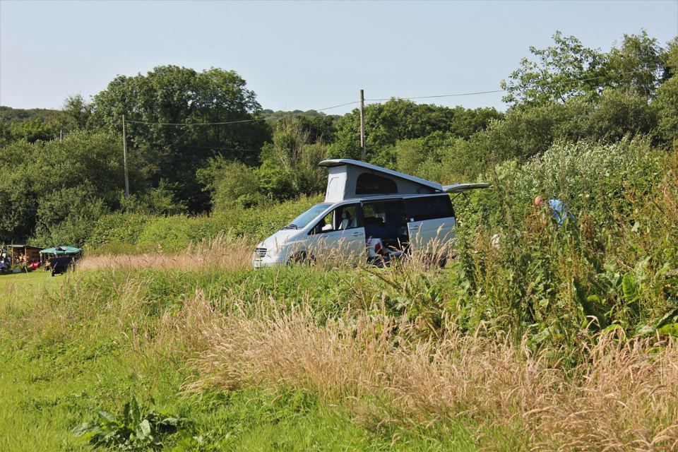 Campervan in the long grass