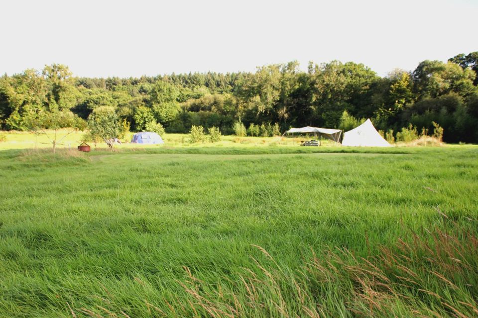 Tents and bell tent in the meadow