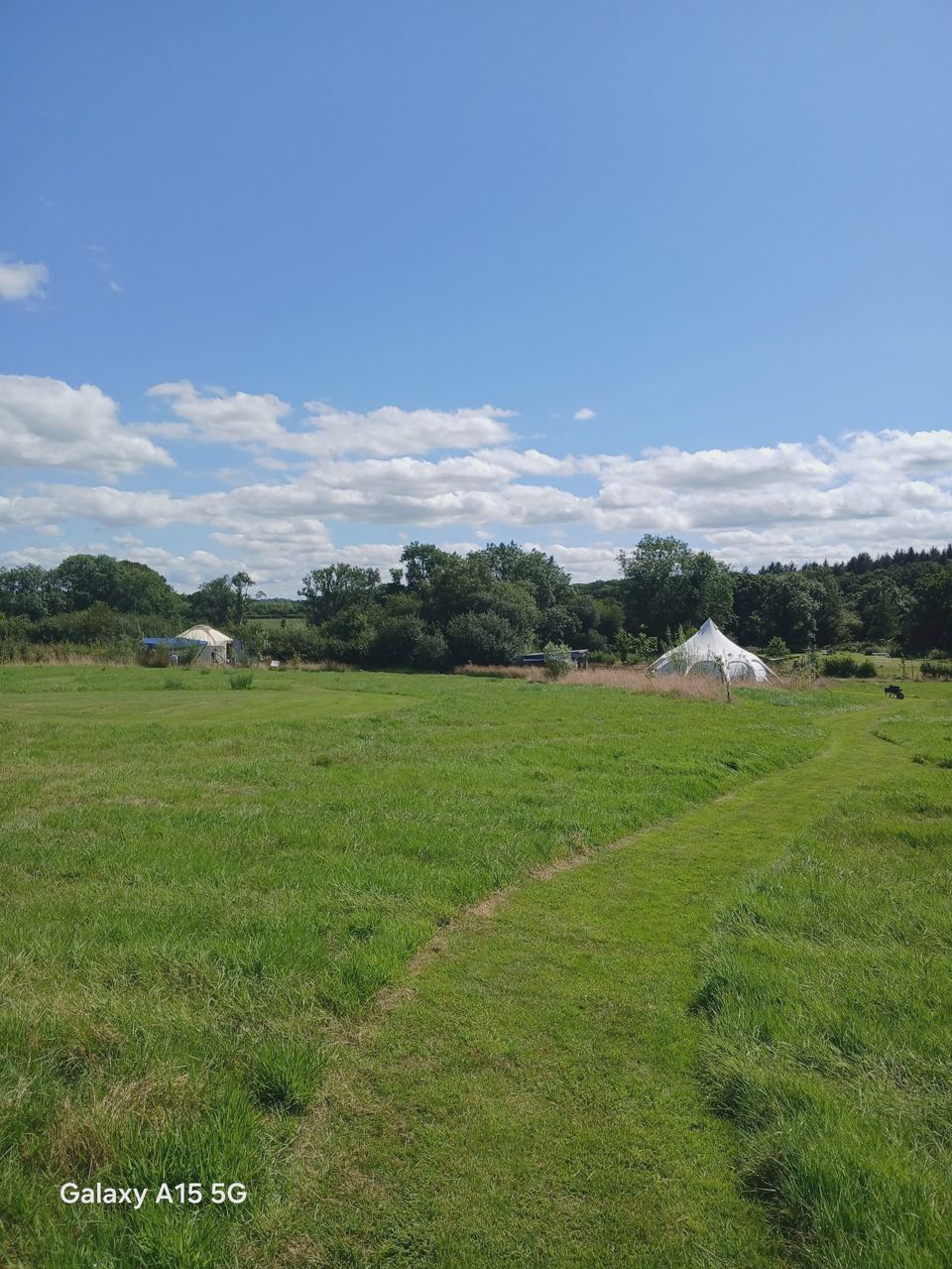 Meadow path towards the yurt