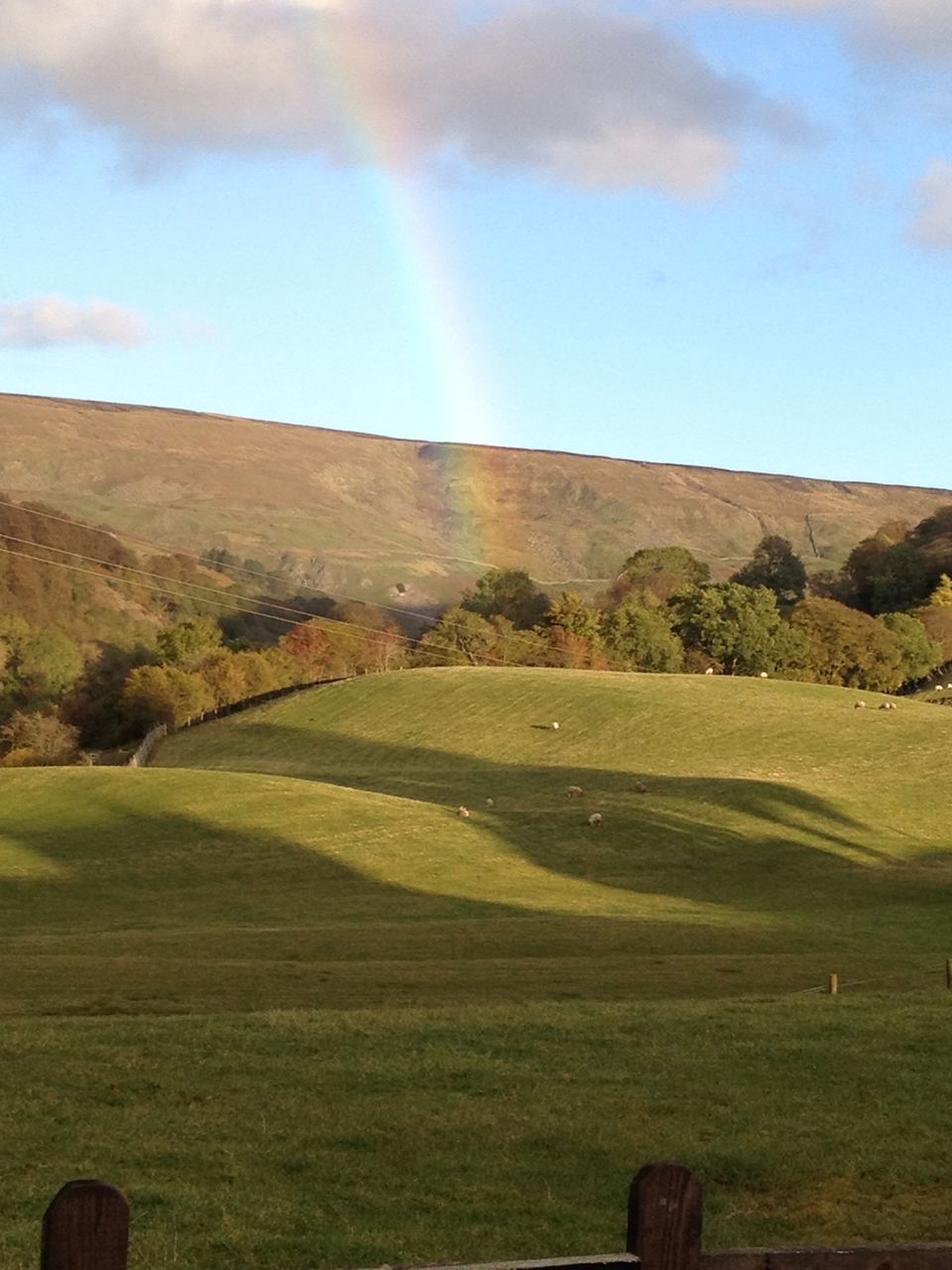 Swaledale hillside
