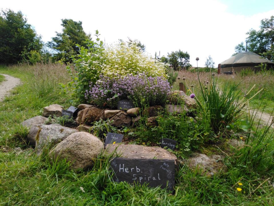 Herb spiral and yurt