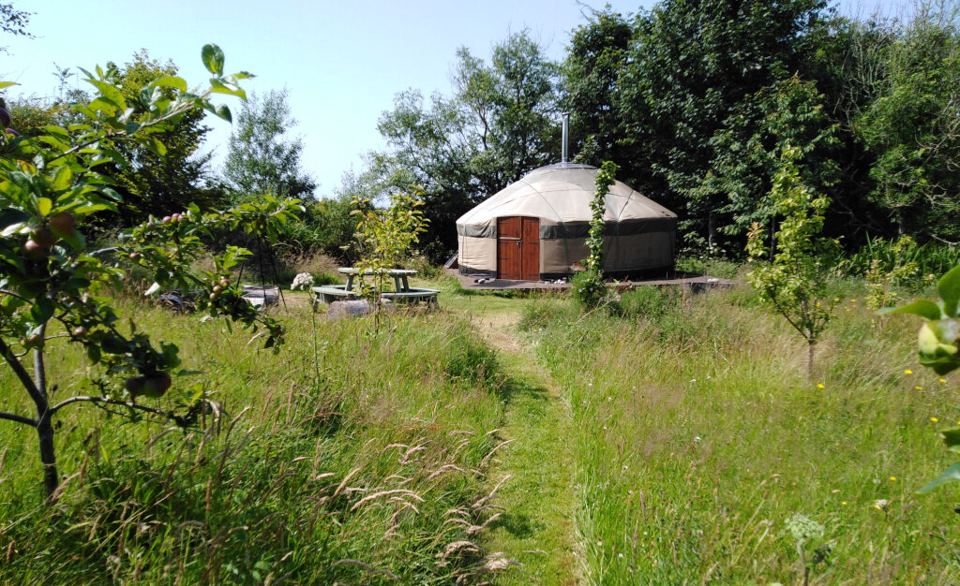 Yurt in the orchard