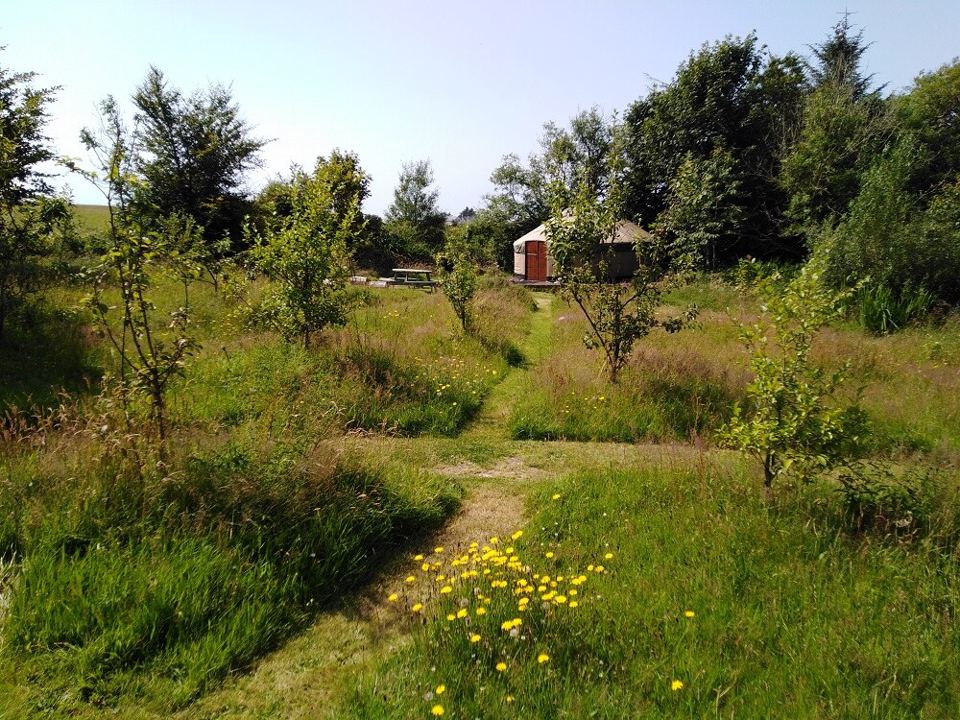 Orchard and meadow paths