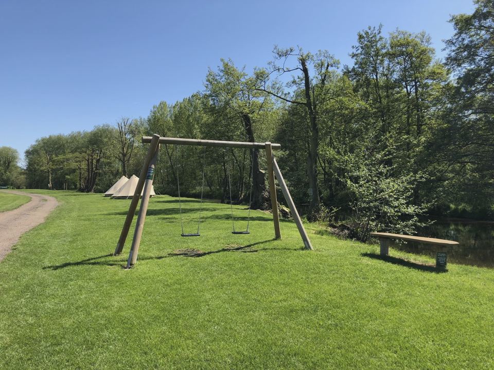 Swings on the grass