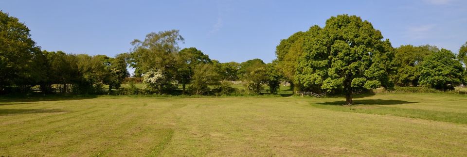 Open grass meadow