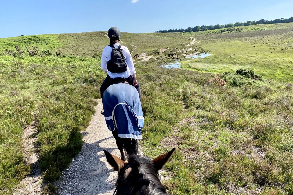 Riding out on the heath