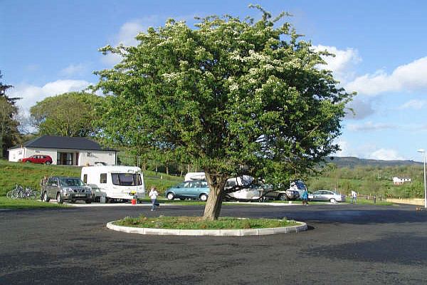 Pitches around the entrance tree