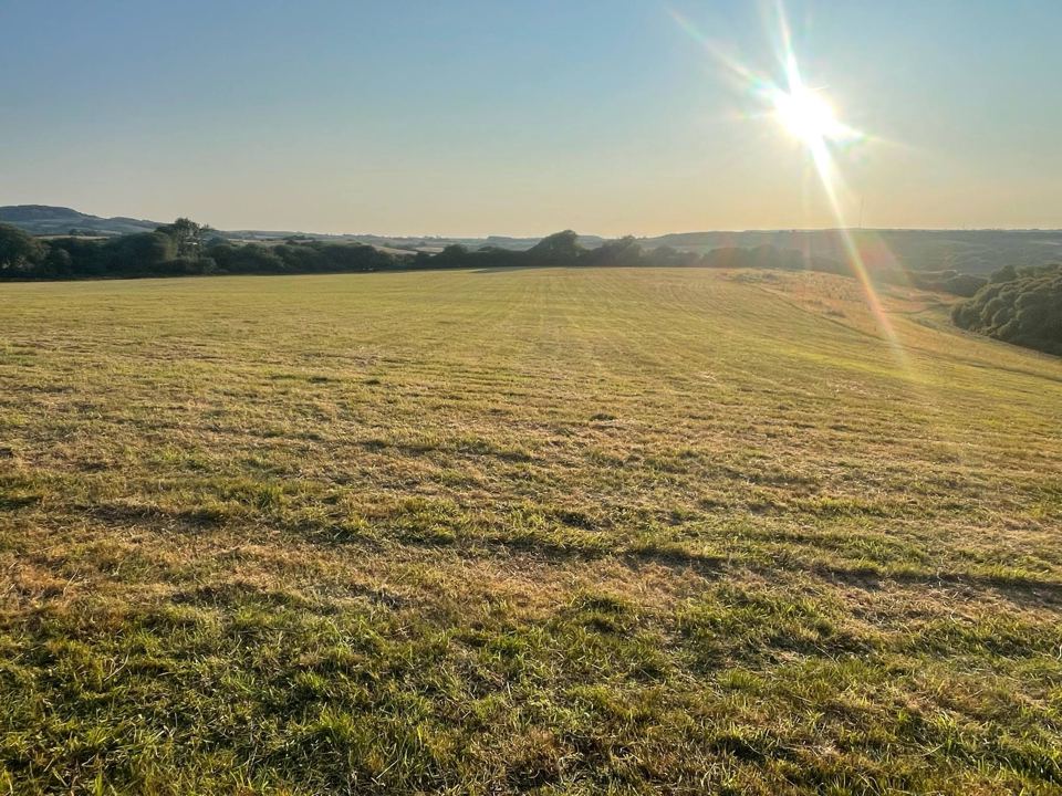 Hay meadow at sunrise