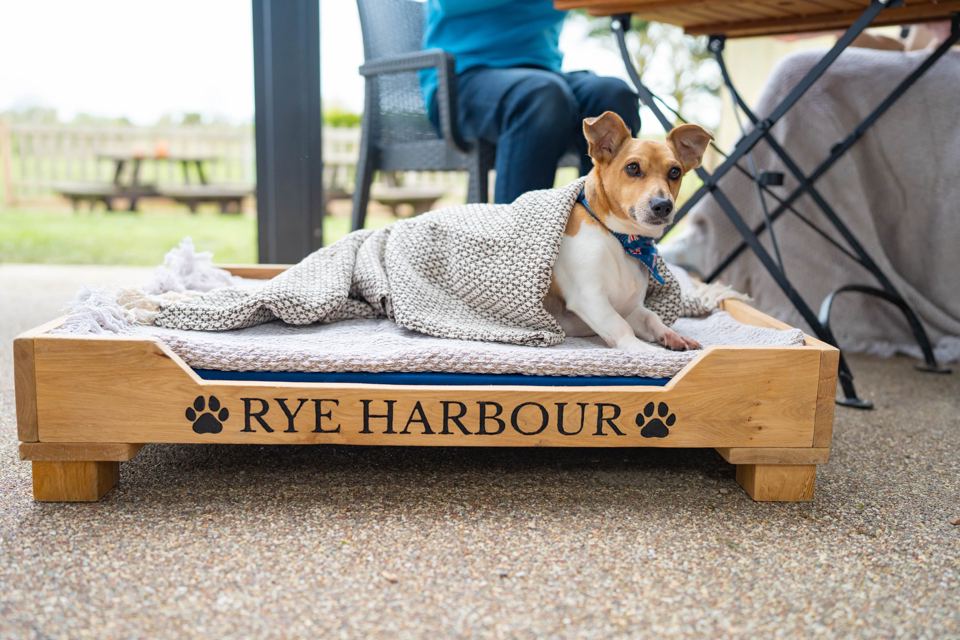 Dog bed at the bar