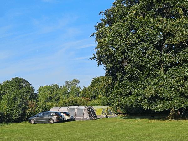Grass camping field with trees
