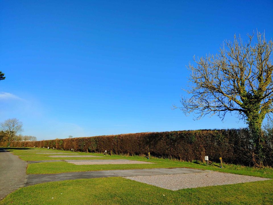 Gravel pitches by the hedge