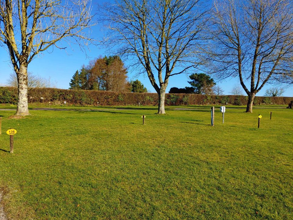 Grass field with trees and pitch markers