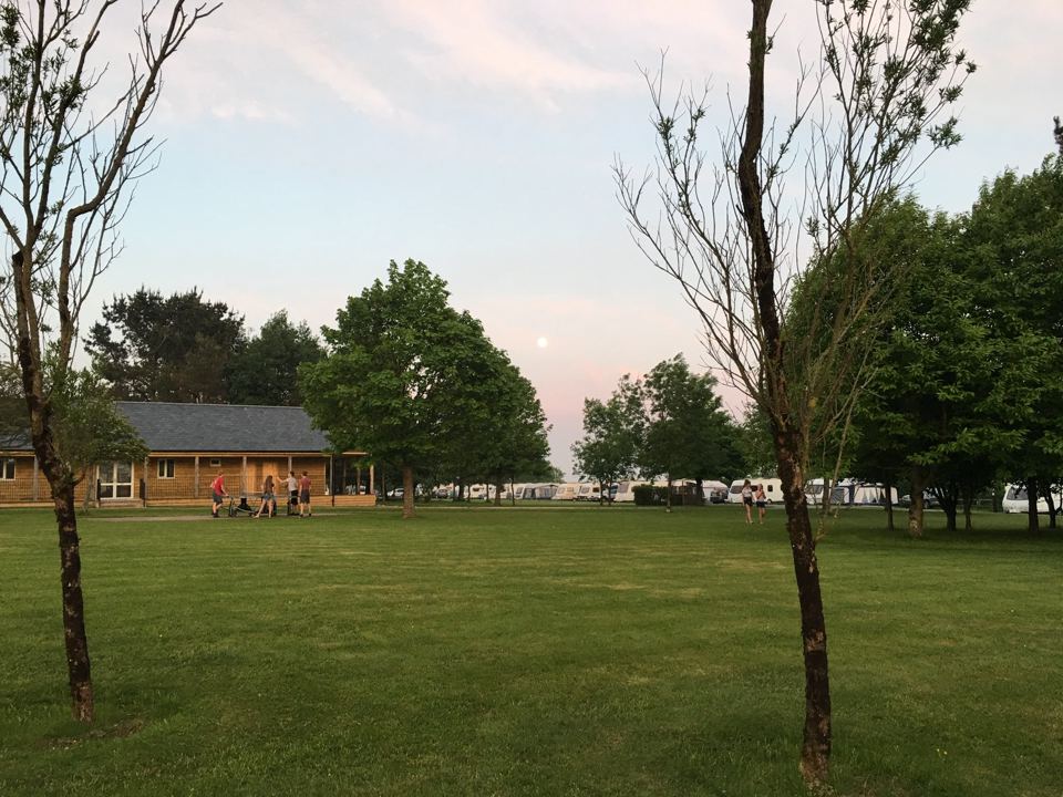Grass field with trees at dusk