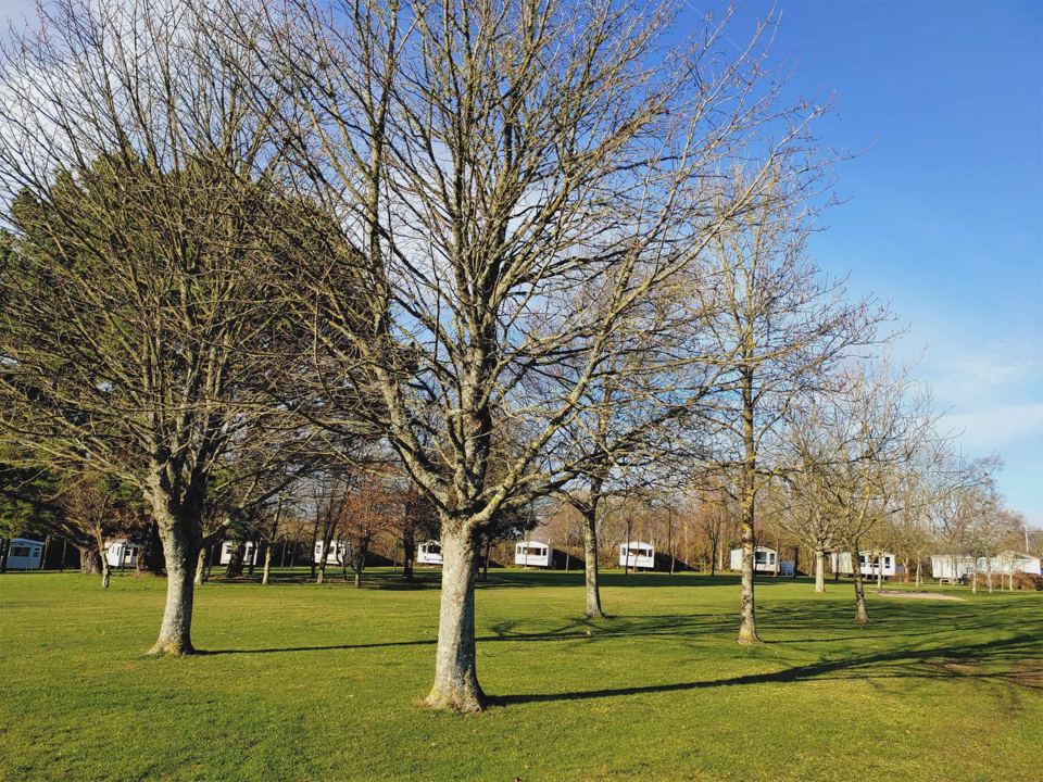 Caravans on the grass under bare trees