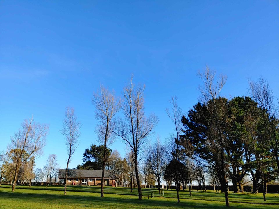 Field with trees and a building