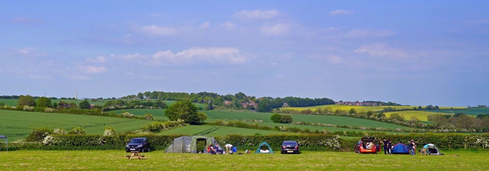 Tents and vans along the hedge