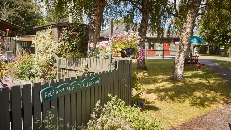 Flower-lined path on site
