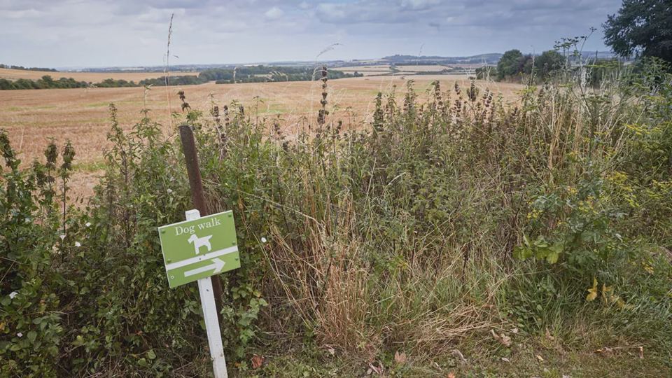Dog walk sign at field edge