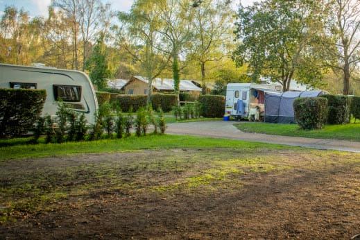Touring pitches in the trees