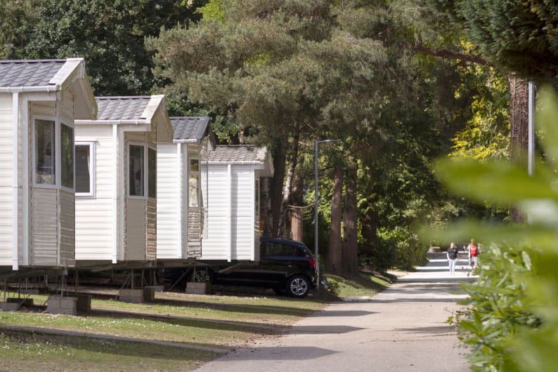 Caravans among the pines