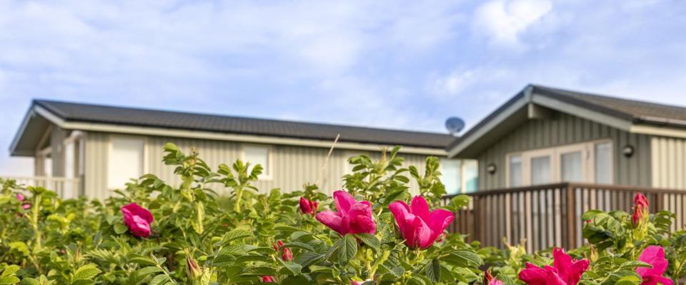 Lodge with roses in front