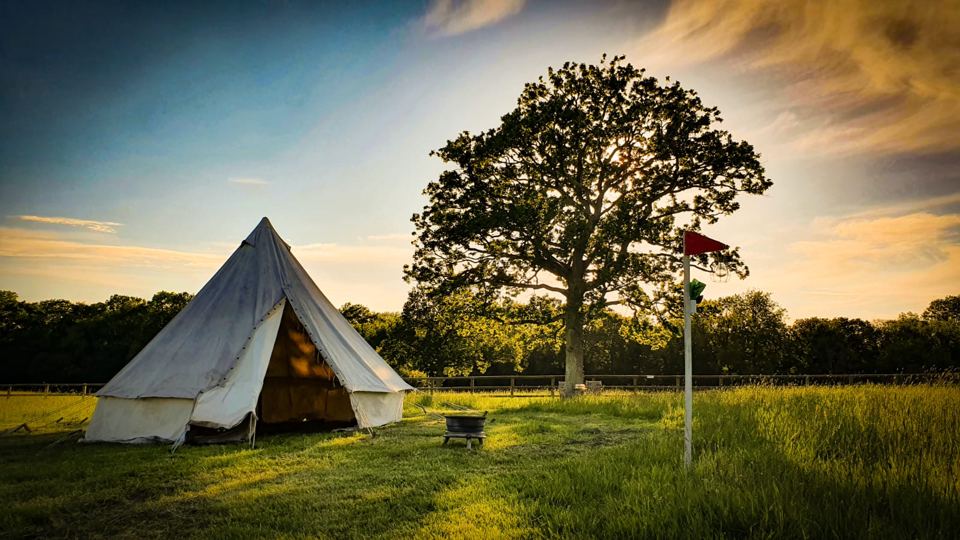 Bell tent under an oak