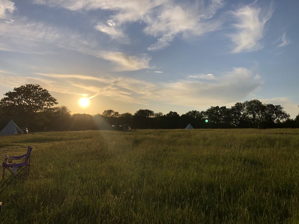 Sunset over the field