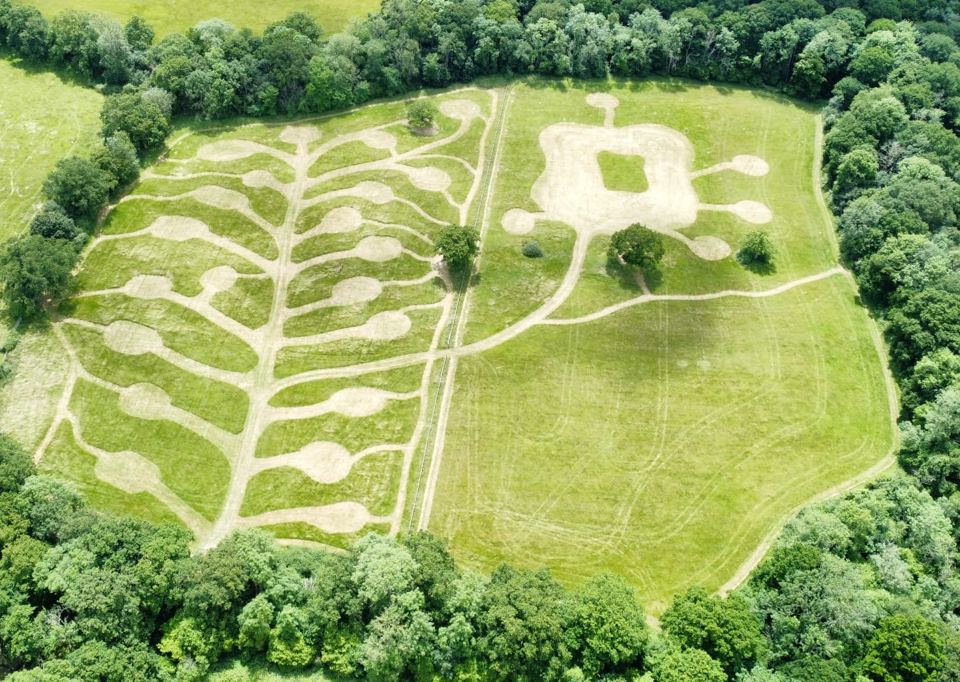 Pitches mown into the field