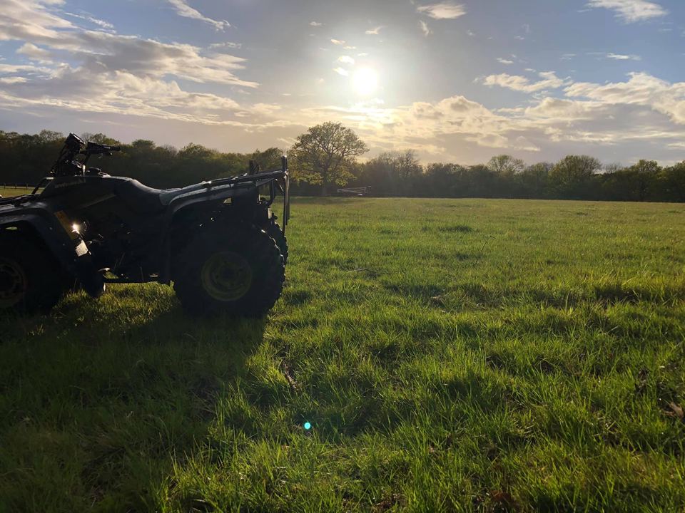 Camping field at dusk