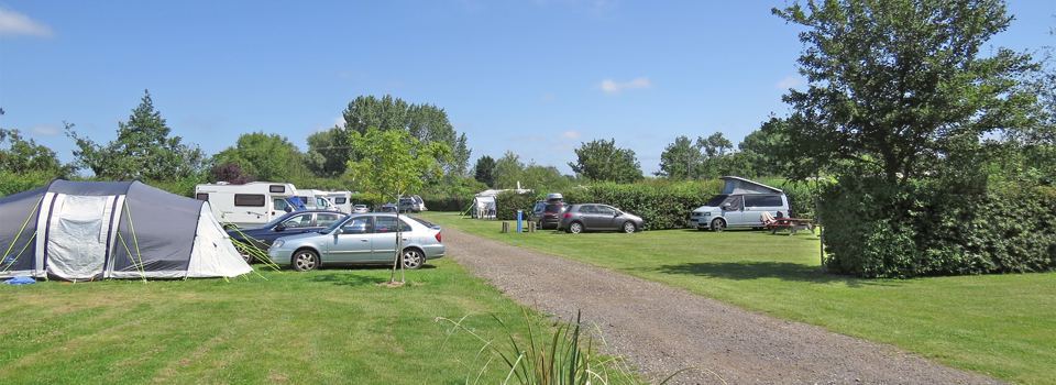Tents on grass pitches