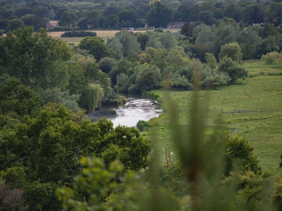 River valley from the woods