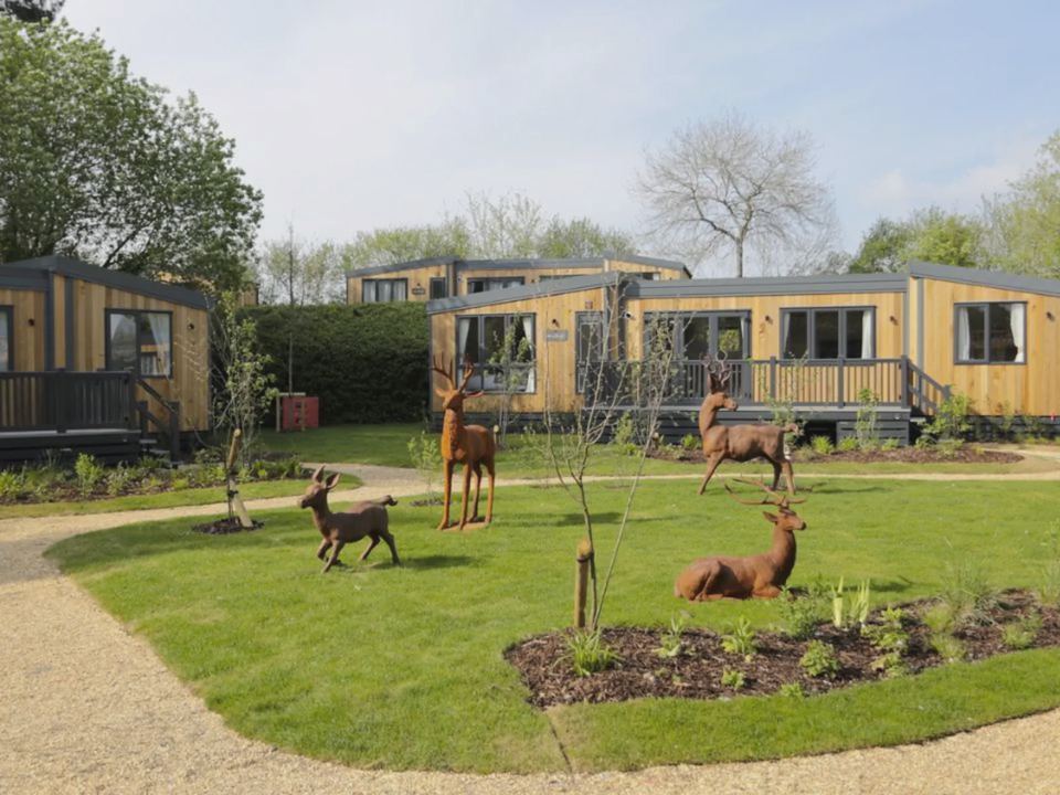 Lodges around a deer lawn
