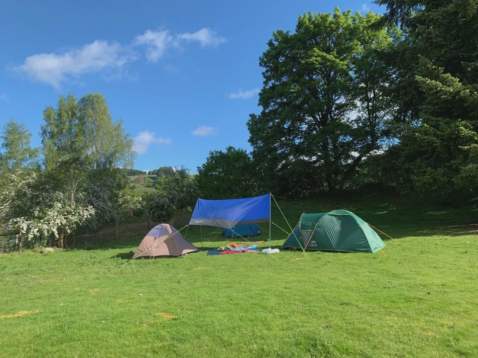 Tents on the grass pitches