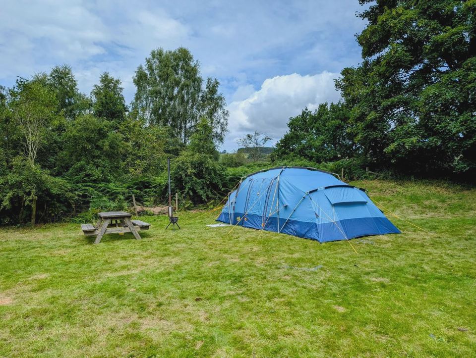 Tent and picnic bench
