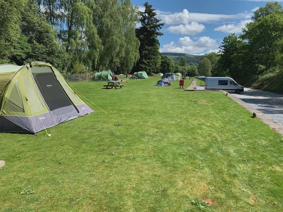 Tent pitches along the grass
